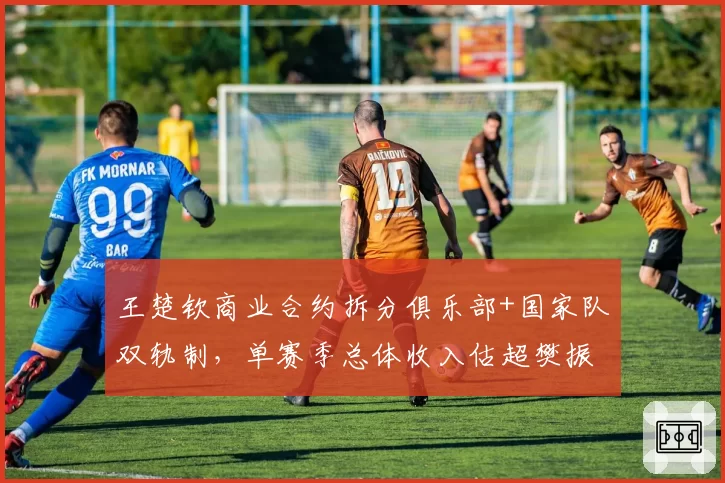 王楚钦商业合约拆分俱乐部+国家队双轨制,单赛季总体收入估超樊振东2.3倍__br_