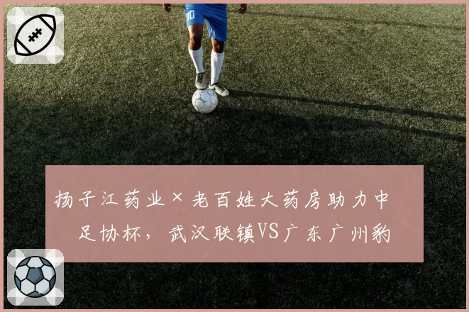 扬子江药业×老百姓大药房助力中国足协杯,武汉联镇VS广东广州豹