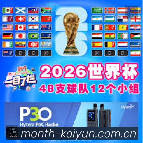 企业概况