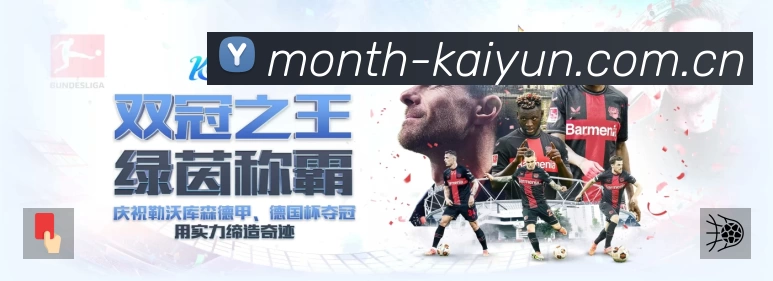 开云站内搜索增强